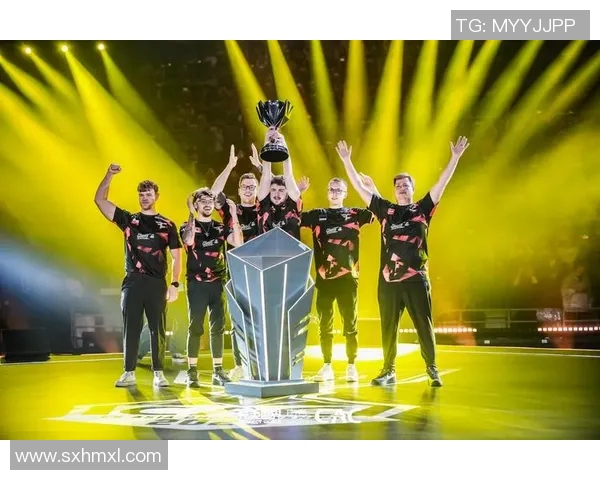 看csgo比赛的网站-揭秘专业观赏CSGO比赛的网站—与全球顶级竞技共鸣的体验盛宴-看csgo比赛的网站